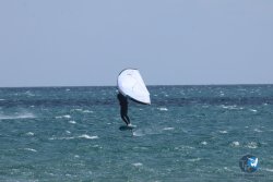20250608-franqui-138.jpg