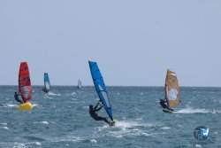 20250608-franqui-142.jpg
