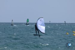 20250608-franqui-202.jpg