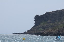 20250608-franqui-206.jpg