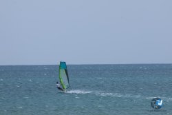 20250615-Franqui-tram-025.jpg
