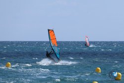 20250802-Franqui-002.jpg