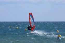 20250802-Franqui-003.jpg