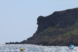 20250802-Franqui-009.jpg