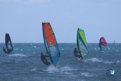 20250802-Franqui-035.jpg