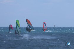 20250802-Franqui-036.jpg