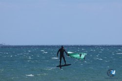 20250802-Franqui-041.jpg