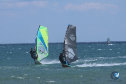 20250802-Franqui-045.jpg