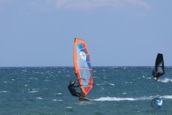 20250802-Franqui-046.jpg