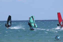20250802-Franqui-059.jpg