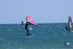 20250802-Franqui-071.jpg