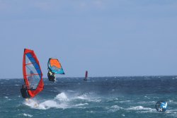20250802-Franqui-082.jpg
