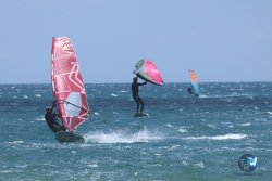 20250802-Franqui-083.jpg