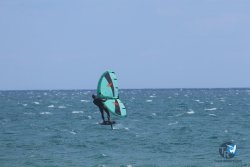 20250802-Franqui-098.jpg