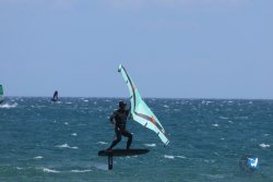 20250802-Franqui-108.jpg