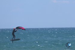 20250802-Franqui-110.jpg