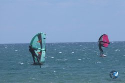 20250802-Franqui-111.jpg