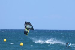 20250802-Franqui-125.jpg