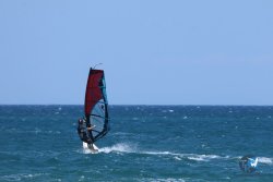 20250802-Franqui-130.jpg