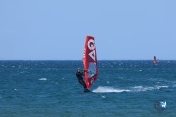 20250802-Franqui-193.jpg