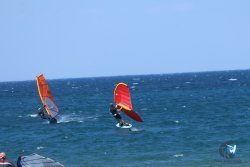 20250802-Franqui-218.jpg