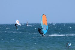20250822-franqui-004.jpg