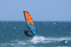 20250822-franqui-006.jpg