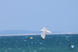 20250822-franqui-106.jpg