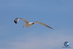 20250822-franqui-107.jpg