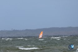 20250829-Bardet-plage-047.jpg