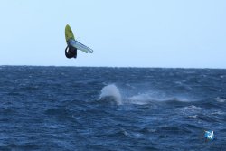 20251026-franqui-253.jpg