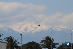 20220403-cypriano-066.JPG