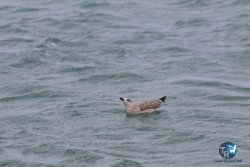 20251102-franqui-fort-201.jpg