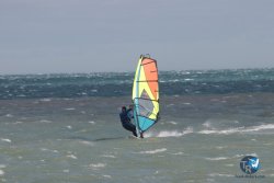 20260220-Franqui-004.jpg