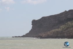 20260220-Franqui-010.jpg