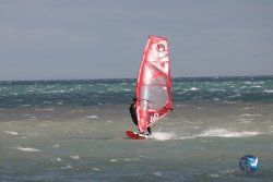 20260220-Franqui-019.jpg