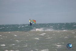 20260220-Franqui-036.jpg