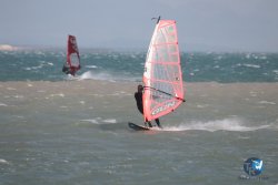 20260220-Franqui-055.jpg