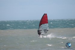 20260220-Franqui-068.jpg
