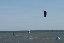 20260221-Franqui-016.jpg