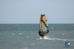 20260221-Franqui-025.jpg