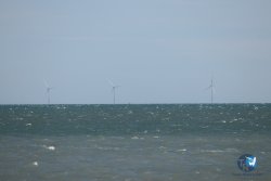 20260221-Franqui-060.jpg