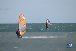 20260221-Franqui-079.jpg