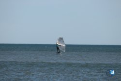 20260221-Franqui-170.jpg