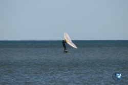 20260221-Franqui-173.jpg