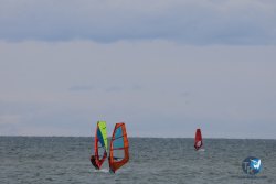 20260314-franqui-001.jpg