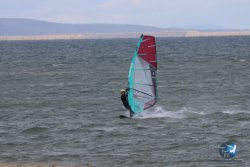 20260314-franqui-008.jpg
