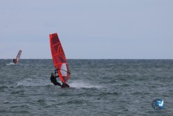 20260314-franqui-013.jpg