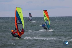 20260314-franqui-029.jpg