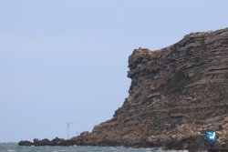 20260314-franqui-121.jpg
